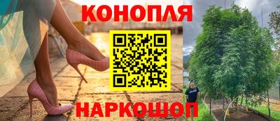 хмурый Будённовск